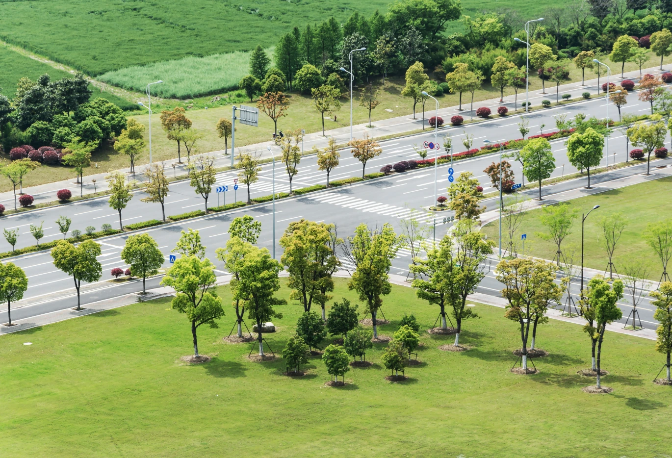 Santa Ynez vineyards
